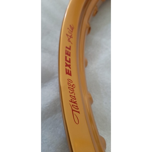 HIMALAYAN EXCEL RIM SET GOLD
